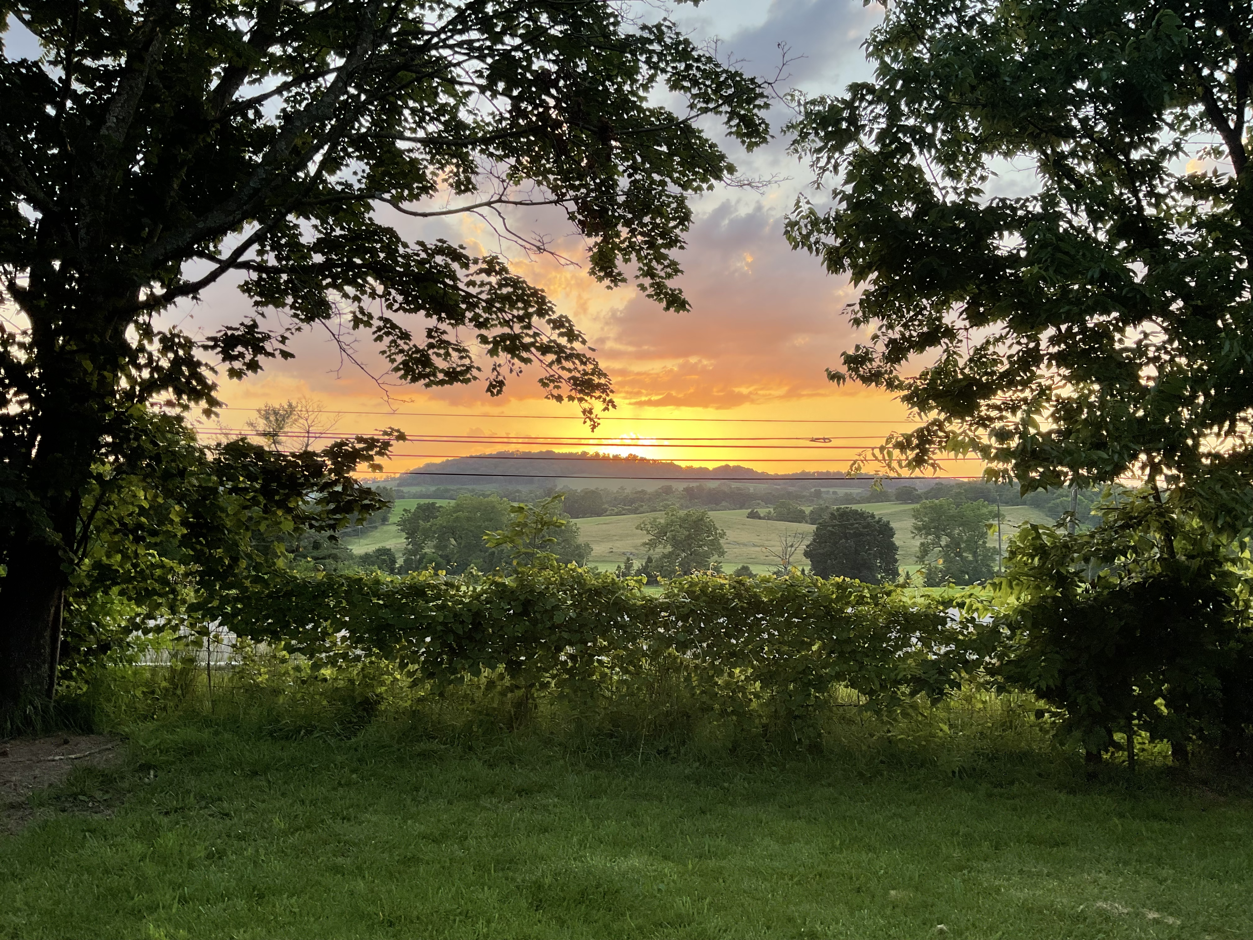 Sunset Hills